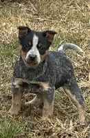 processed/96a3e859-1e2e-419b-936b-f5ffcbe270fd/listing/e5786e01-afe1-4957-9818-e6af38bf4a70/8db3e32f-9a97-4035-9740-e9cb737eae0a