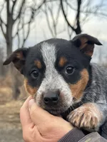 processed/96a3e859-1e2e-419b-936b-f5ffcbe270fd/listing/e5786e01-afe1-4957-9818-e6af38bf4a70/9caed1f4-8253-404d-8c20-14810421852f