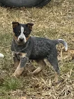 processed/96a3e859-1e2e-419b-936b-f5ffcbe270fd/listing/e5786e01-afe1-4957-9818-e6af38bf4a70/9e470119-b0df-45c0-8e3d-814247e01d3c