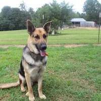 processed/96a9208e-0db9-451e-8630-d87ef0f00e4e/facility/2276a650-c834-4f67-8abd-f7148c8a4460