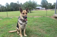 processed/96a9208e-0db9-451e-8630-d87ef0f00e4e/facility/2276a650-c834-4f67-8abd-f7148c8a4460