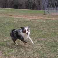 processed/96a9208e-0db9-451e-8630-d87ef0f00e4e/facility/cfd219fb-4d4a-4dd9-a09b-075d57b707fc