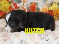 processed/96a9208e-0db9-451e-8630-d87ef0f00e4e/listing/0e6abc69-2143-4ff0-8103-648c673063e8/18000225-b8e2-4b22-ab6b-41dd8a9473f1