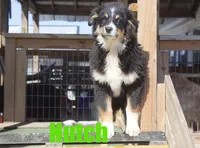 processed/96a9208e-0db9-451e-8630-d87ef0f00e4e/listing/0e6abc69-2143-4ff0-8103-648c673063e8/1b910133-492d-4bf0-b5a4-8405b4ec7ac7