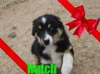 processed/96a9208e-0db9-451e-8630-d87ef0f00e4e/listing/0e6abc69-2143-4ff0-8103-648c673063e8/519e7c0f-4404-45c6-8558-66c782d13be4