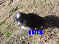 processed/96a9208e-0db9-451e-8630-d87ef0f00e4e/listing/0e6abc69-2143-4ff0-8103-648c673063e8/5edaa93f-0cb9-476d-8cbd-e12e9c04be8d