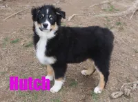 processed/96a9208e-0db9-451e-8630-d87ef0f00e4e/listing/0e6abc69-2143-4ff0-8103-648c673063e8/993aa0b2-4f32-4fc3-934b-e78914809daa