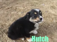 processed/96a9208e-0db9-451e-8630-d87ef0f00e4e/listing/0e6abc69-2143-4ff0-8103-648c673063e8/9d2137cb-e35a-4b0f-bc6a-bc8f70f81e60