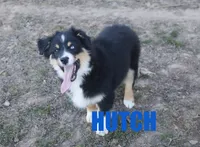 processed/96a9208e-0db9-451e-8630-d87ef0f00e4e/listing/0e6abc69-2143-4ff0-8103-648c673063e8/b63ed401-b589-4115-9230-f622e103c08c