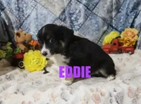 processed/96a9208e-0db9-451e-8630-d87ef0f00e4e/listing/177ade43-5fd5-4a21-8f05-62985ae5b2d9/07264a4d-05b9-4691-a84c-3e7d90c248f5