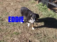 processed/96a9208e-0db9-451e-8630-d87ef0f00e4e/listing/177ade43-5fd5-4a21-8f05-62985ae5b2d9/0f55781c-2359-4269-b308-e03829efbdc7