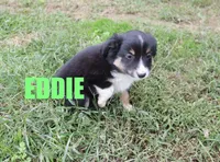 processed/96a9208e-0db9-451e-8630-d87ef0f00e4e/listing/177ade43-5fd5-4a21-8f05-62985ae5b2d9/107dfc19-3ea6-4a9b-98ba-3133099bd613