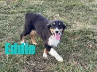 processed/96a9208e-0db9-451e-8630-d87ef0f00e4e/listing/177ade43-5fd5-4a21-8f05-62985ae5b2d9/2a9da784-644f-4dac-9fc9-b436a4772679