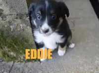 processed/96a9208e-0db9-451e-8630-d87ef0f00e4e/listing/177ade43-5fd5-4a21-8f05-62985ae5b2d9/2c9b575a-53a5-4ea3-8d61-ed845a7e3319