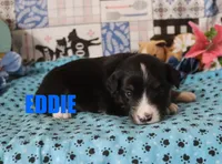 processed/96a9208e-0db9-451e-8630-d87ef0f00e4e/listing/177ade43-5fd5-4a21-8f05-62985ae5b2d9/53b1c0de-1e27-4d17-9208-a12c71387ce7