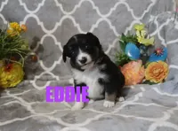 processed/96a9208e-0db9-451e-8630-d87ef0f00e4e/listing/177ade43-5fd5-4a21-8f05-62985ae5b2d9/7862858b-3ef2-44d3-8c3e-430ffa80653f