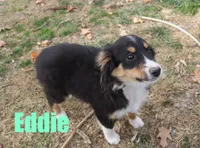 processed/96a9208e-0db9-451e-8630-d87ef0f00e4e/listing/177ade43-5fd5-4a21-8f05-62985ae5b2d9/c611a133-f40f-45db-a6ad-2a29a087a083