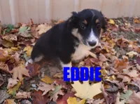 processed/96a9208e-0db9-451e-8630-d87ef0f00e4e/listing/177ade43-5fd5-4a21-8f05-62985ae5b2d9/e919efe3-57d2-4b4f-b5ce-767ec99af8c7