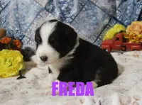 processed/96a9208e-0db9-451e-8630-d87ef0f00e4e/listing/18fd2ed1-3321-4759-a671-4838f3fb12a9/2ce9b2e1-cf3f-4aa1-a878-f4926a4ef1b6