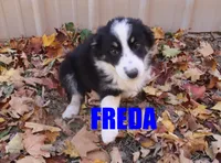 processed/96a9208e-0db9-451e-8630-d87ef0f00e4e/listing/18fd2ed1-3321-4759-a671-4838f3fb12a9/3b30b33f-670e-4568-96c5-ada40320500d