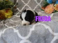 processed/96a9208e-0db9-451e-8630-d87ef0f00e4e/listing/18fd2ed1-3321-4759-a671-4838f3fb12a9/47be55f1-afb2-481c-8565-6f8983749d00