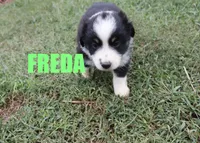 processed/96a9208e-0db9-451e-8630-d87ef0f00e4e/listing/18fd2ed1-3321-4759-a671-4838f3fb12a9/69334f5d-a39f-4ce0-a6f8-be982d304952