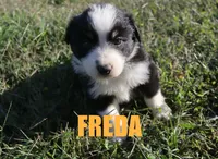 processed/96a9208e-0db9-451e-8630-d87ef0f00e4e/listing/18fd2ed1-3321-4759-a671-4838f3fb12a9/a231514a-ec27-461d-899a-e805fce7c9f7