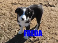 processed/96a9208e-0db9-451e-8630-d87ef0f00e4e/listing/18fd2ed1-3321-4759-a671-4838f3fb12a9/a3607cf1-2679-4b15-81ac-a01800ed25f6