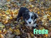 processed/96a9208e-0db9-451e-8630-d87ef0f00e4e/listing/18fd2ed1-3321-4759-a671-4838f3fb12a9/c373e388-e37f-4991-a02a-690168ce296a