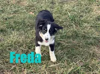 processed/96a9208e-0db9-451e-8630-d87ef0f00e4e/listing/18fd2ed1-3321-4759-a671-4838f3fb12a9/e9d4135c-37d9-4857-a03e-2e91edc2669a