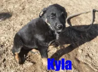 processed/96a9208e-0db9-451e-8630-d87ef0f00e4e/listing/1ad3cf46-fe87-48a3-9227-b1bd81652225/14186cf1-eca4-4a97-8cbf-6e944c6af9af