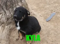 processed/96a9208e-0db9-451e-8630-d87ef0f00e4e/listing/1ad3cf46-fe87-48a3-9227-b1bd81652225/3e8ac45c-90c5-4da1-948d-7d38f6abd8f7