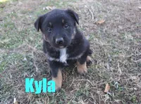 processed/96a9208e-0db9-451e-8630-d87ef0f00e4e/listing/1ad3cf46-fe87-48a3-9227-b1bd81652225/c09ae4cc-b9a2-443c-b91b-02caff4d2c45