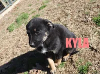 processed/96a9208e-0db9-451e-8630-d87ef0f00e4e/listing/1ad3cf46-fe87-48a3-9227-b1bd81652225/d9edf349-23c6-4550-936d-81a3d0d28b1d