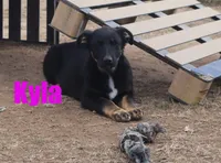 processed/96a9208e-0db9-451e-8630-d87ef0f00e4e/listing/1ad3cf46-fe87-48a3-9227-b1bd81652225/e377028d-3af4-489e-af1a-9eb18841bdf9