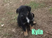 processed/96a9208e-0db9-451e-8630-d87ef0f00e4e/listing/1ad3cf46-fe87-48a3-9227-b1bd81652225/ff6ecf66-4c00-4b56-8ca8-727c5d1e15a6