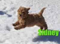 processed/96a9208e-0db9-451e-8630-d87ef0f00e4e/listing/2c6fbc2d-e072-4eb9-ac70-7f9b5e0d3e17/38e41455-c295-40bf-83ac-1f96ee84cf9a