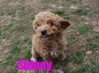 processed/96a9208e-0db9-451e-8630-d87ef0f00e4e/listing/2c6fbc2d-e072-4eb9-ac70-7f9b5e0d3e17/5c537a04-0734-4cd8-8630-b6e98041f2c6