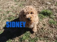 processed/96a9208e-0db9-451e-8630-d87ef0f00e4e/listing/2c6fbc2d-e072-4eb9-ac70-7f9b5e0d3e17/7053f91e-d0f7-4835-92f4-d60b77609b52