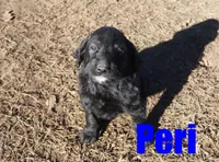 processed/96a9208e-0db9-451e-8630-d87ef0f00e4e/listing/3cc17be7-7383-488b-b40c-b1780f0bf5c2/08926831-e10d-44d4-b5b5-f0956bfab214