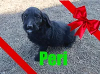 processed/96a9208e-0db9-451e-8630-d87ef0f00e4e/listing/3cc17be7-7383-488b-b40c-b1780f0bf5c2/29f478c0-4eee-42be-bbe3-52be67f090af