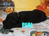 processed/96a9208e-0db9-451e-8630-d87ef0f00e4e/listing/3cc17be7-7383-488b-b40c-b1780f0bf5c2/6c08986b-8f07-4821-877d-262aa67355bc