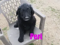 processed/96a9208e-0db9-451e-8630-d87ef0f00e4e/listing/3cc17be7-7383-488b-b40c-b1780f0bf5c2/9543bef5-6233-4214-b4c9-4e9f9af9d9a0