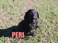 processed/96a9208e-0db9-451e-8630-d87ef0f00e4e/listing/3cc17be7-7383-488b-b40c-b1780f0bf5c2/e6d11faa-7e58-4155-9615-ed0543439edc