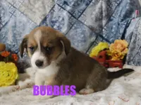 processed/96a9208e-0db9-451e-8630-d87ef0f00e4e/listing/3f8a64b6-131d-45dd-939f-45e1730658f9/0d1fd961-61a4-4863-86d3-8341cf568cc2