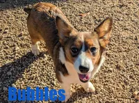 processed/96a9208e-0db9-451e-8630-d87ef0f00e4e/listing/3f8a64b6-131d-45dd-939f-45e1730658f9/3430186f-ac77-45d5-aa25-cf9ada7083d5