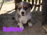 processed/96a9208e-0db9-451e-8630-d87ef0f00e4e/listing/3f8a64b6-131d-45dd-939f-45e1730658f9/3fb8260a-71dd-46d3-8edf-1e8ae6930380