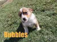 processed/96a9208e-0db9-451e-8630-d87ef0f00e4e/listing/3f8a64b6-131d-45dd-939f-45e1730658f9/929ce18c-5ecf-4244-8ea8-9f085068a3b5