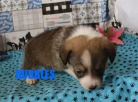 processed/96a9208e-0db9-451e-8630-d87ef0f00e4e/listing/3f8a64b6-131d-45dd-939f-45e1730658f9/a3be6cc0-03b7-43e1-aefb-ebf009222fab