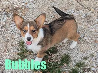 processed/96a9208e-0db9-451e-8630-d87ef0f00e4e/listing/3f8a64b6-131d-45dd-939f-45e1730658f9/bd5623dc-fc7b-433d-a19d-5e14e6149acf